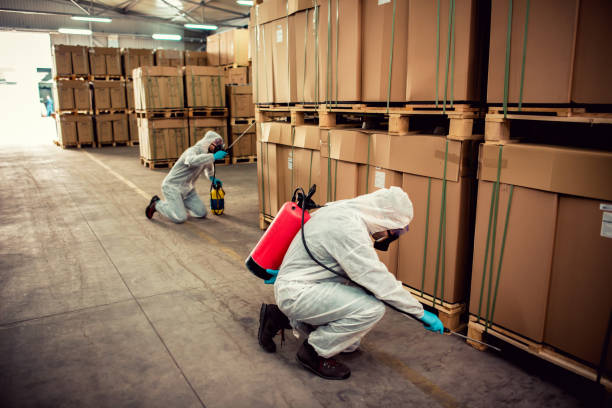 Best Best Pest Control Companies  in Murphys, CA