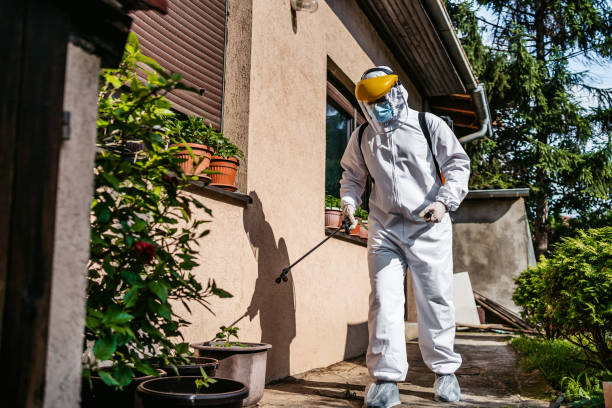 Best Rat Extermination Near Me  in Murphys, CA