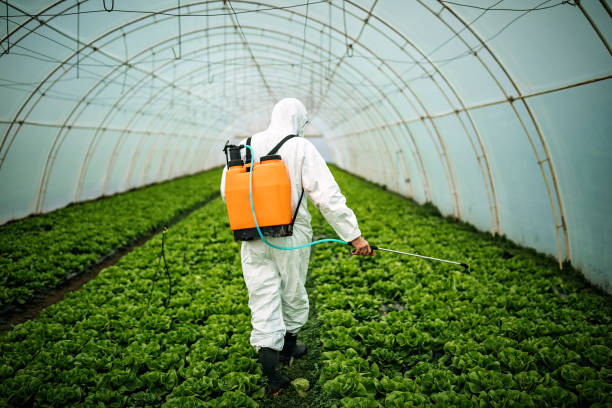 Best Pest Prevention Services  in Murphys, CA