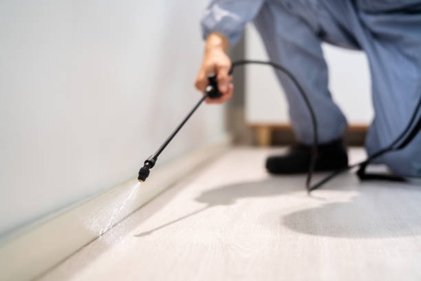Best Flea Control Services  in Murphys, CA