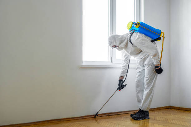 Best Cockroach Control Services  in Murphys, CA