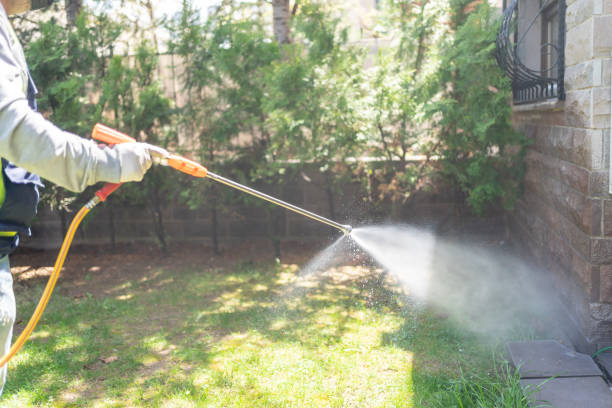 Best Cockroach Control Services  in Murphys, CA