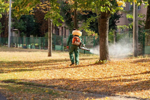 Insect Control in Murphys, CA