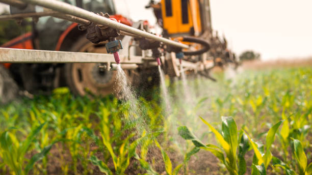 Best Pest Control for Businesses  in Murphys, CA